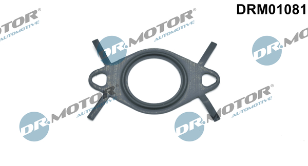 Dr.Motor Automotive Dichtring EGR-klep leiding DRM01081