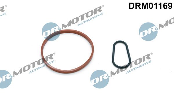 Dr.Motor Automotive Vacuumpomp pakking DRM01169