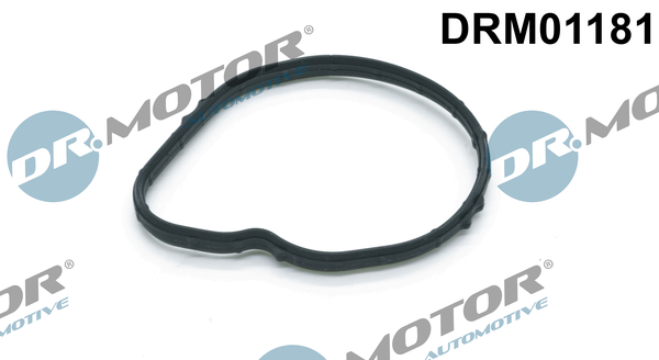 Dr.Motor Automotive Thermostaat pakking DRM01181
