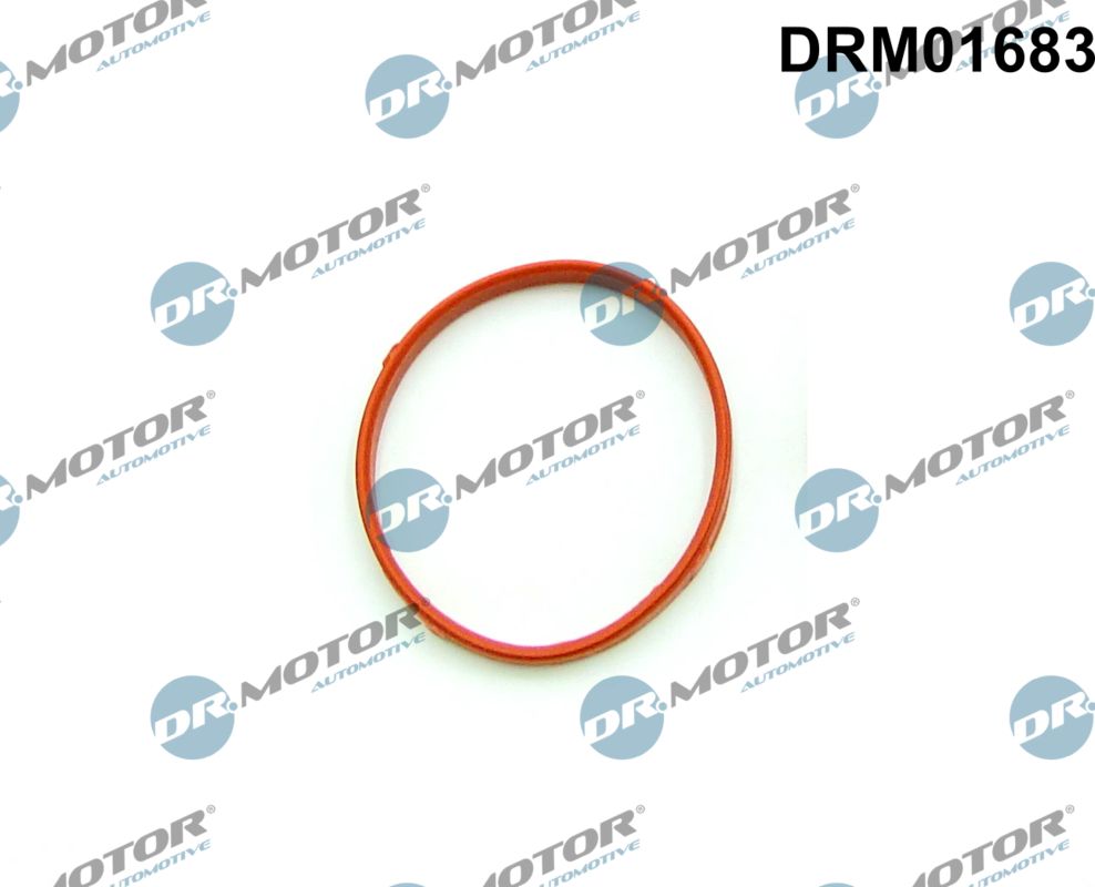 Dr.Motor Automotive Pakking DRM01683