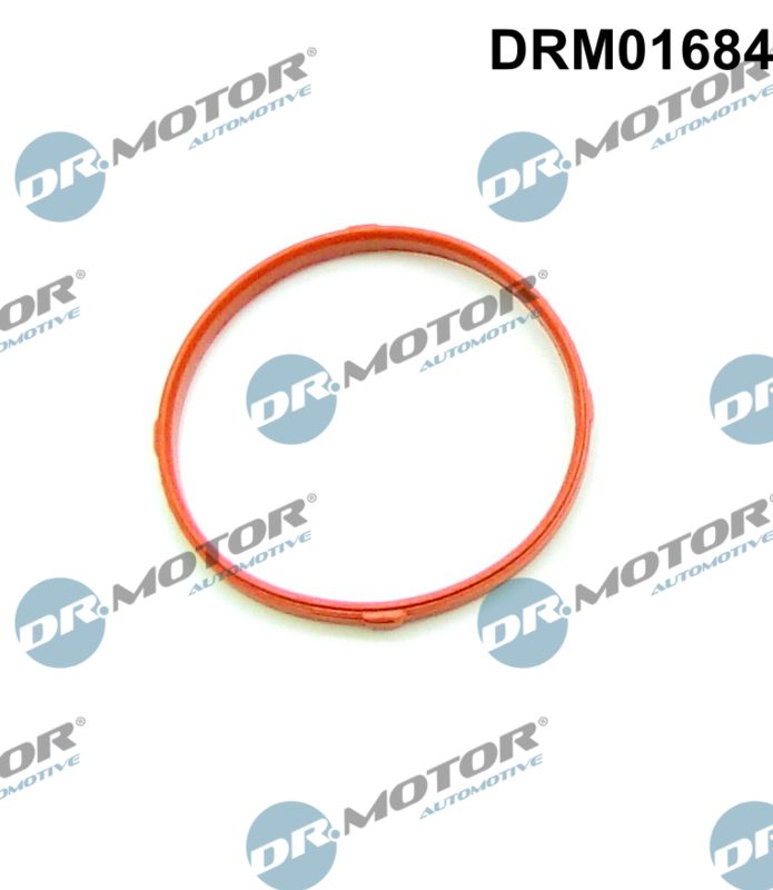 Dr.Motor Automotive Pakking DRM01684