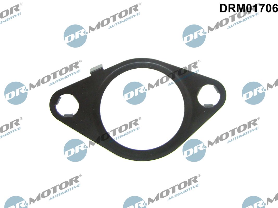 Dr.Motor Automotive EGR-klep pakking DRM01706