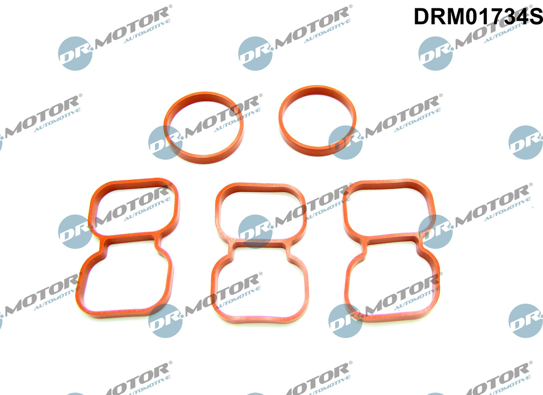 Dr.Motor Automotive Cilinderkop pakking DRM01734S