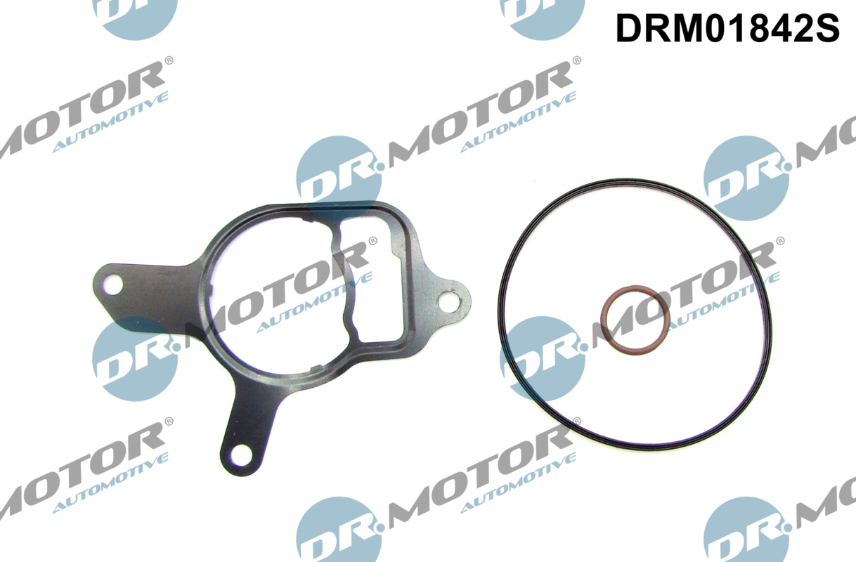 Dr.Motor Automotive Vacuumpomp pakking DRM01842S