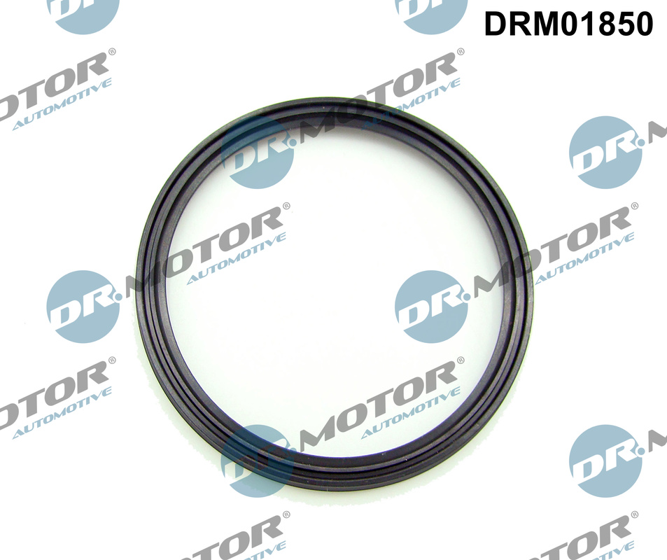 Dr.Motor Automotive Laadlucht-/turboslang DRM01850