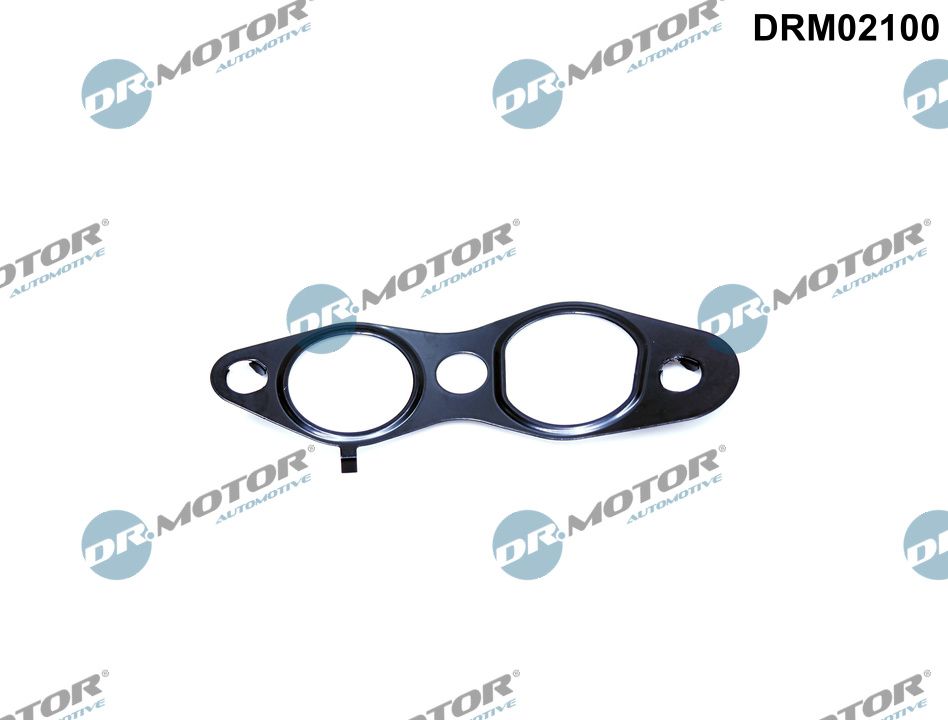 Dr.Motor Automotive EGR-klep pakking DRM02100