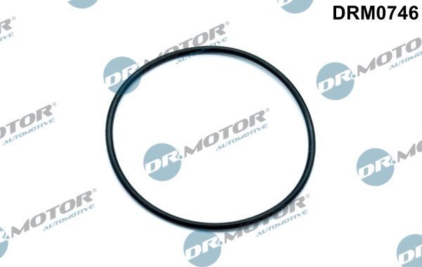 Dr.Motor Automotive Rembekrachtiger DRM0746