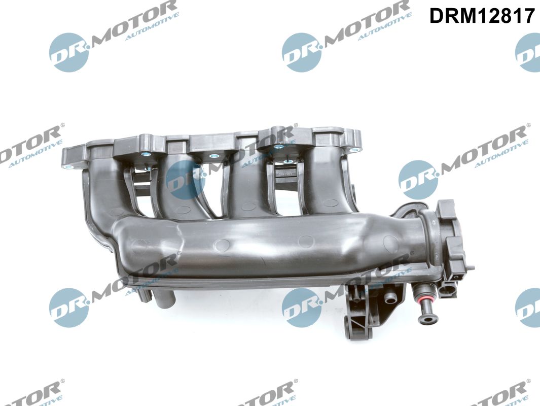 Dr.Motor Automotive Inlaatspruitstuk module DRM12817