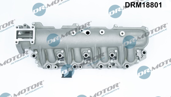 Dr.Motor Automotive Inlaatspruitstuk module DRM18801