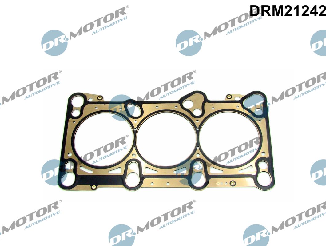 Dr.Motor Automotive Cilinderkop pakking DRM21242