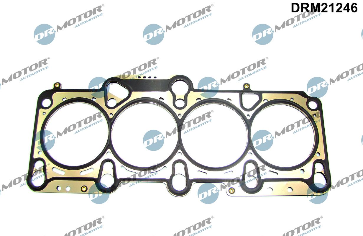 Dr.Motor Automotive Cilinderkop pakking DRM21246