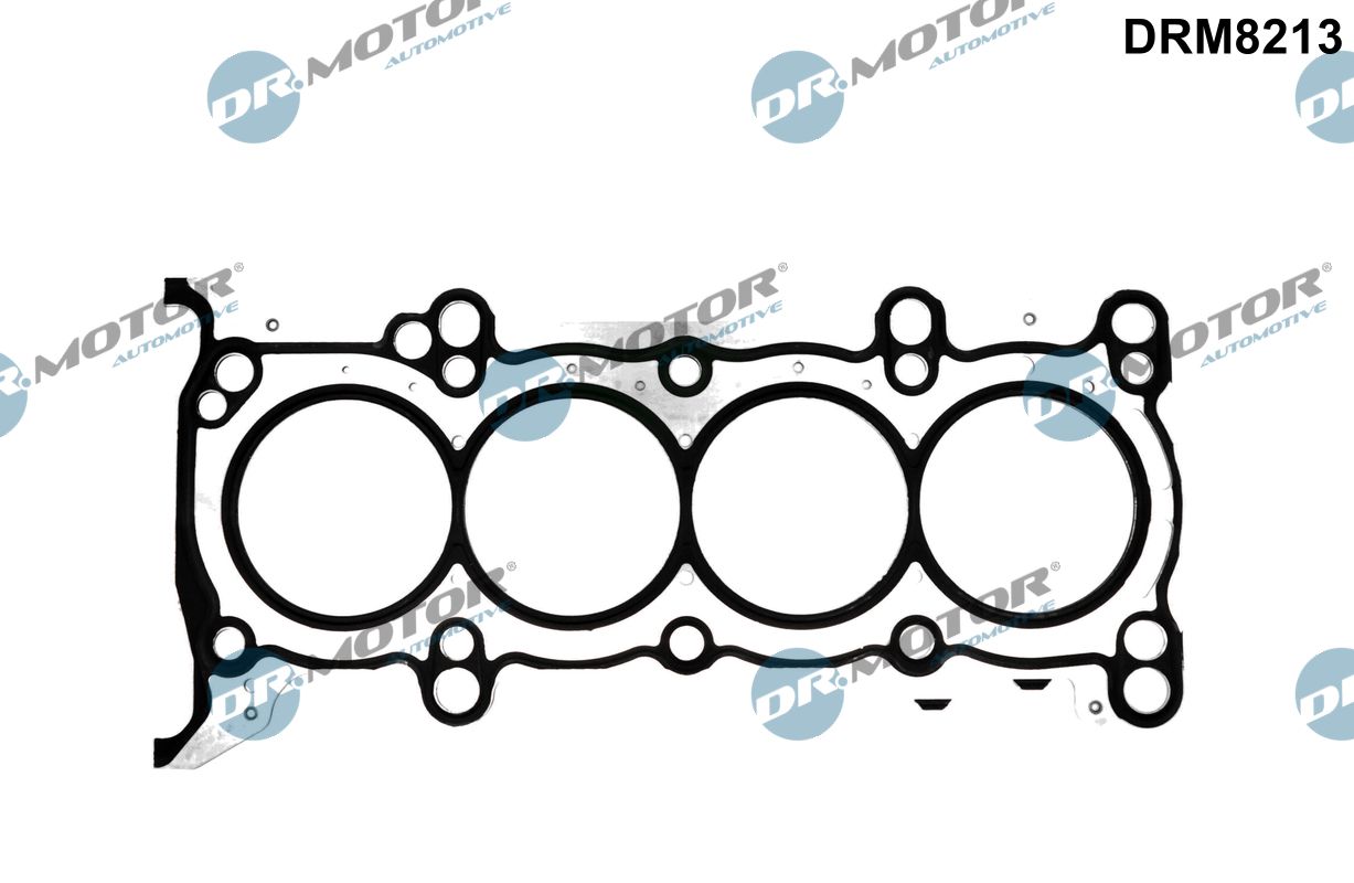 Dr.Motor Automotive Cilinderkop pakking DRM8213