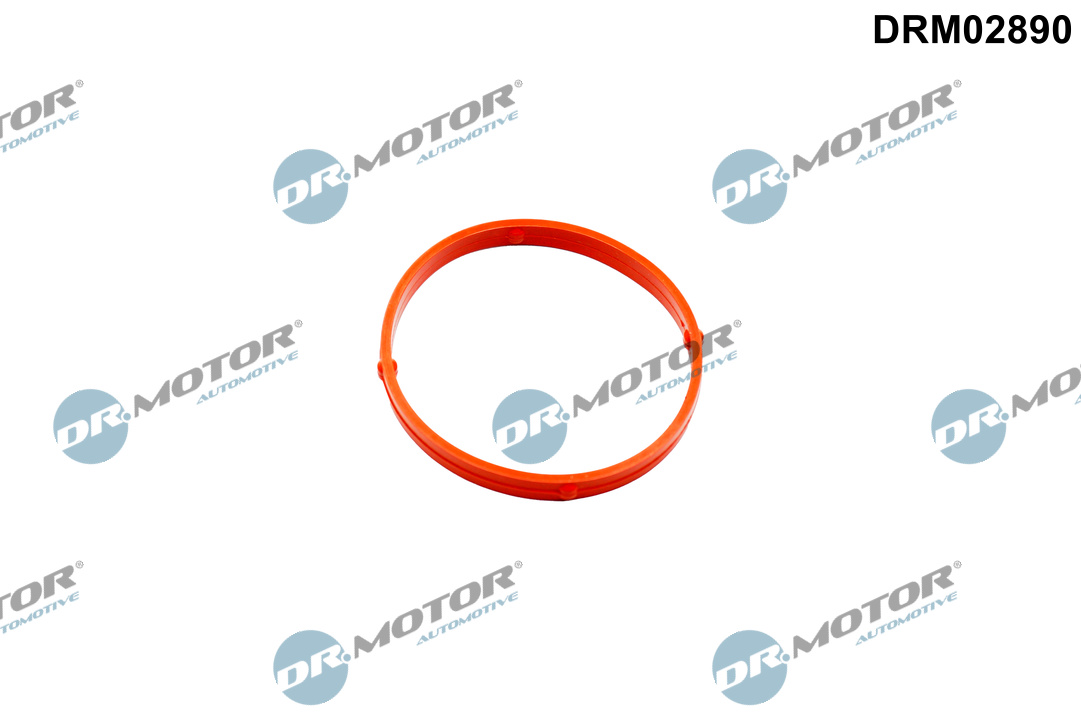 Dr.Motor Automotive Pakking, smoorklepaansluiting DRM02890