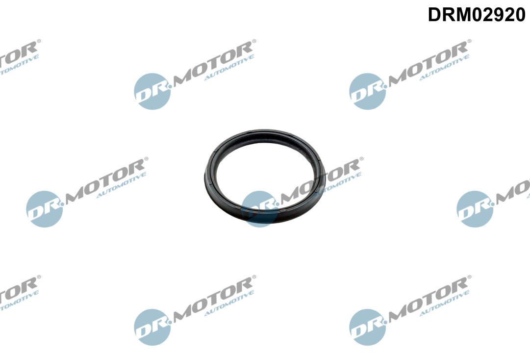 Dr.Motor Automotive Dichtring, laadluchtslang DRM02920