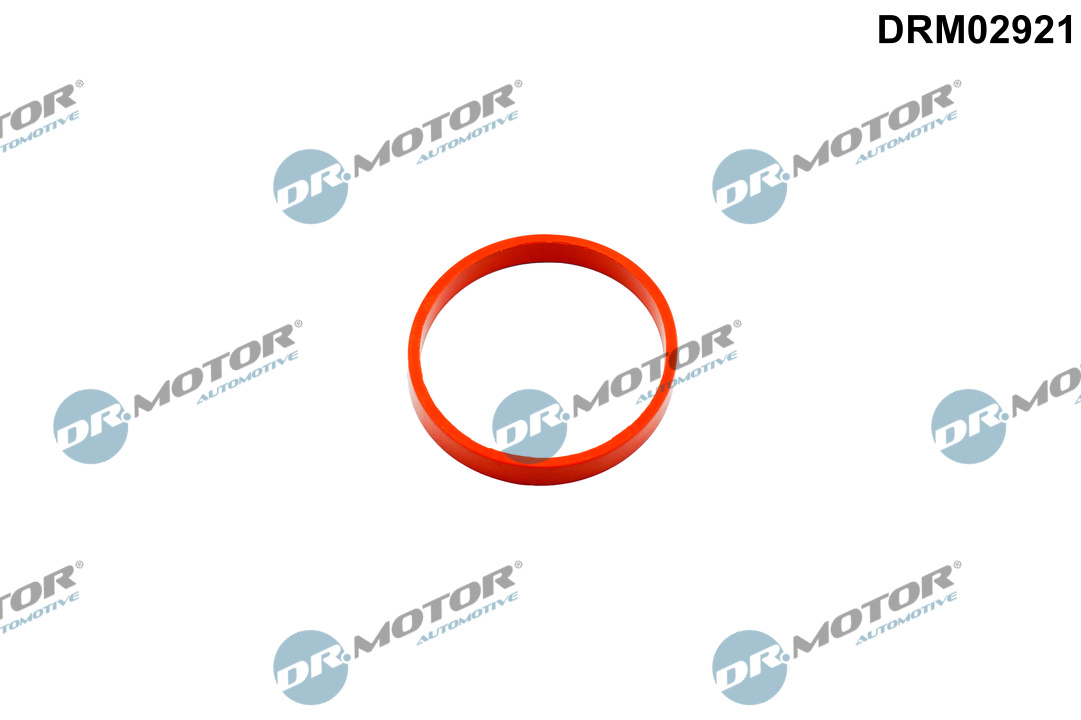 Dr.Motor Automotive Dichtring, laadluchtslang DRM02921