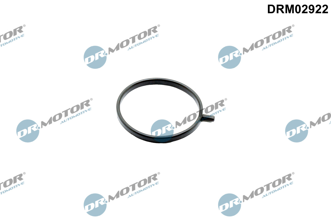Dr.Motor Automotive Afdichtring, turbolader DRM02922