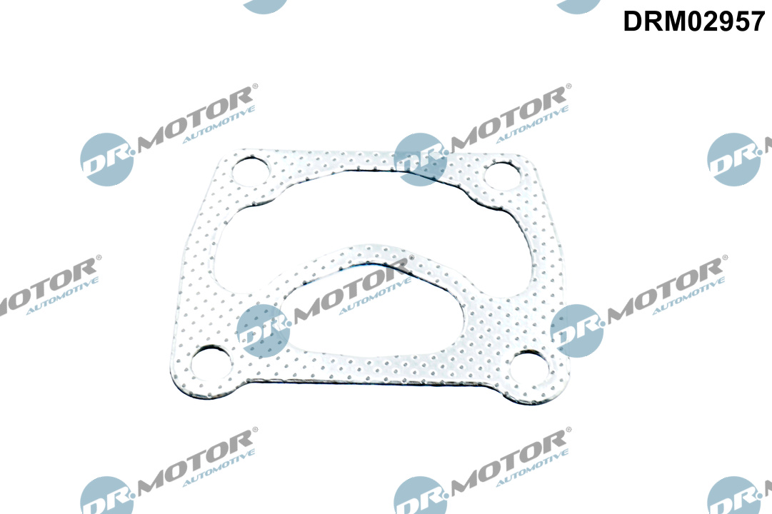 Dr.Motor Automotive Pakking, turbolader DRM02957