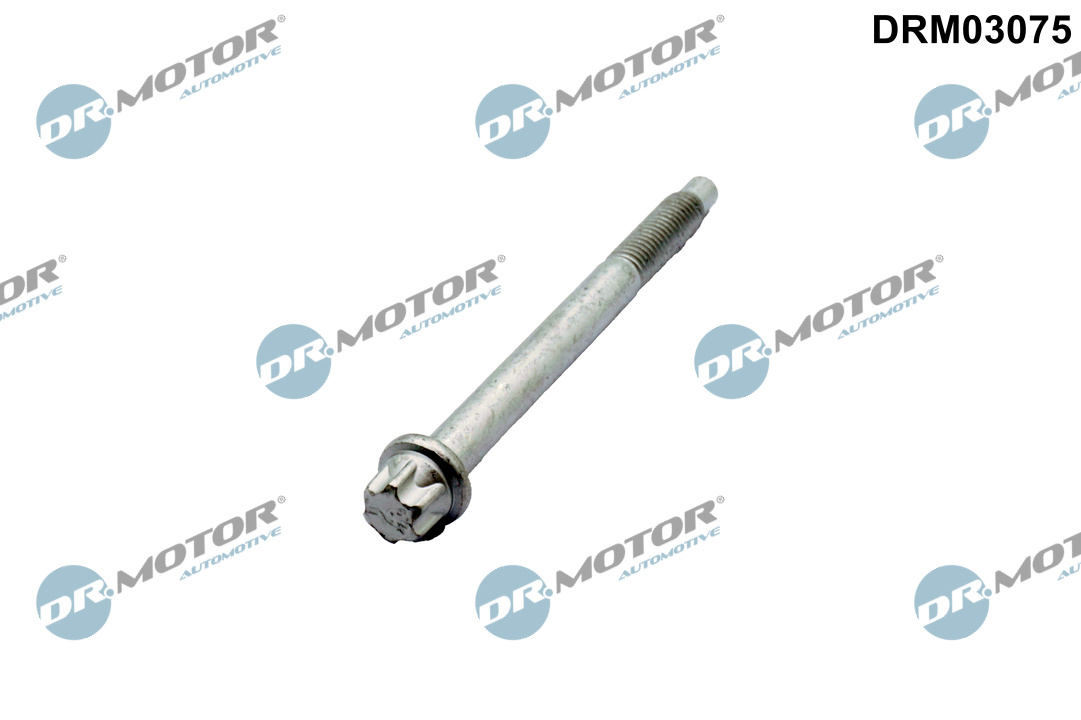 Dr.Motor Automotive Schroef, inspuitstukhouder DRM03075