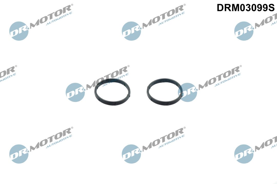 Dr.Motor Automotive Afdichtingsset, oliepomp DRM03099S