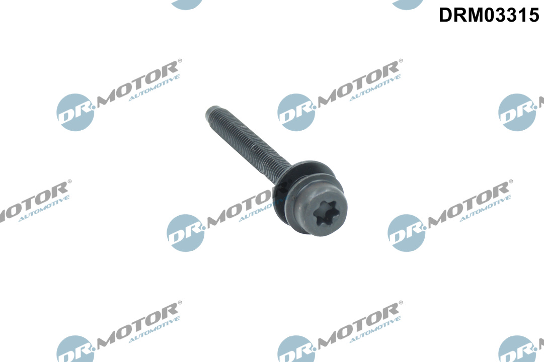 Dr.Motor Automotive Schroef, inspuitstukhouder DRM03315