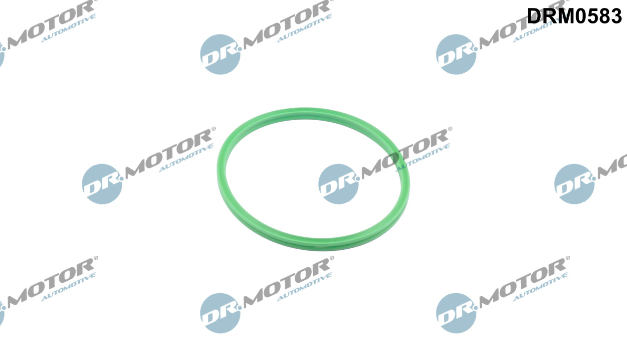 Dr.Motor Automotive Laadlucht-/turboslang DRM0583