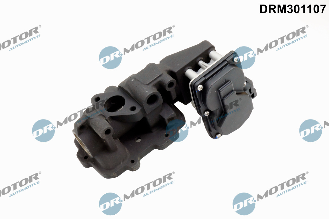 Dr.Motor Automotive EGR-klep DRM301107