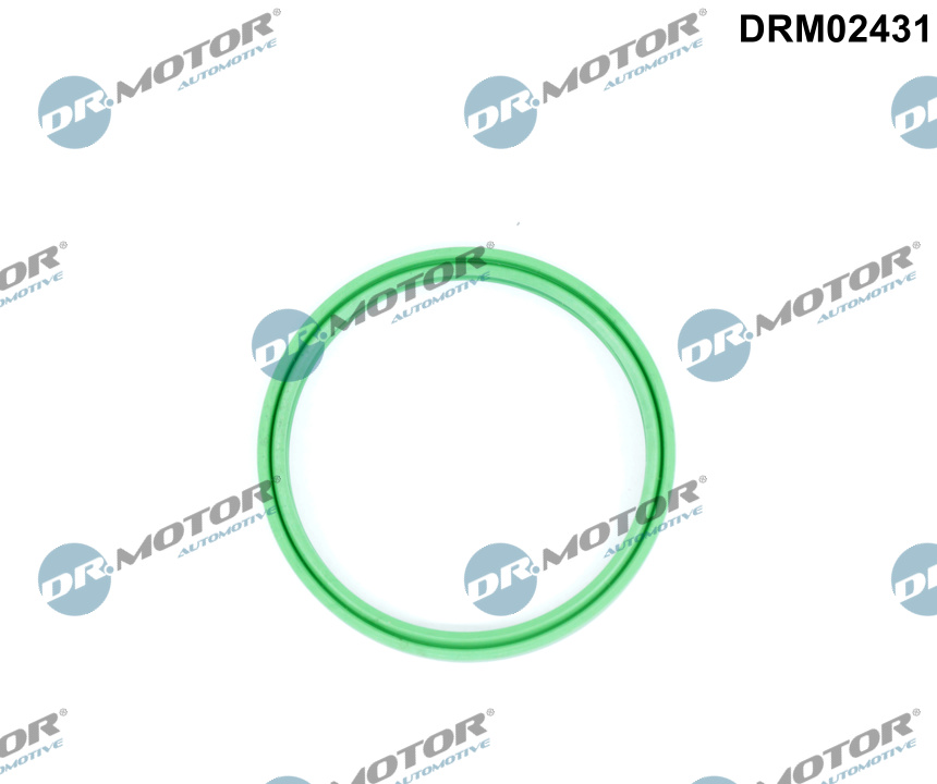 Dr.Motor Automotive Dichtring, laadluchtslang DRM02431