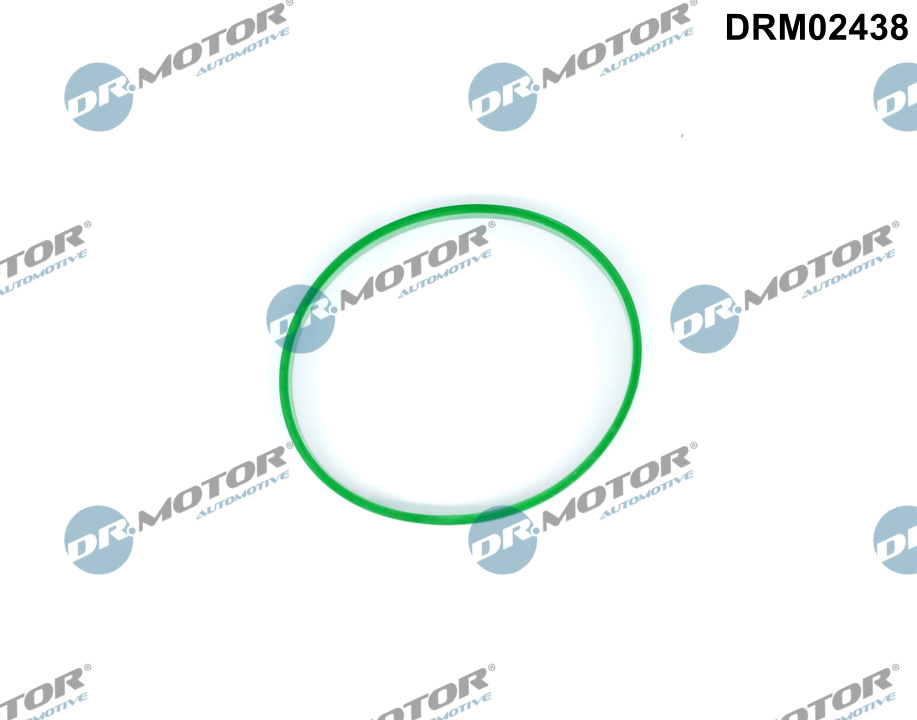 Dr.Motor Automotive Pakking, smoorklepaansluiting DRM02438