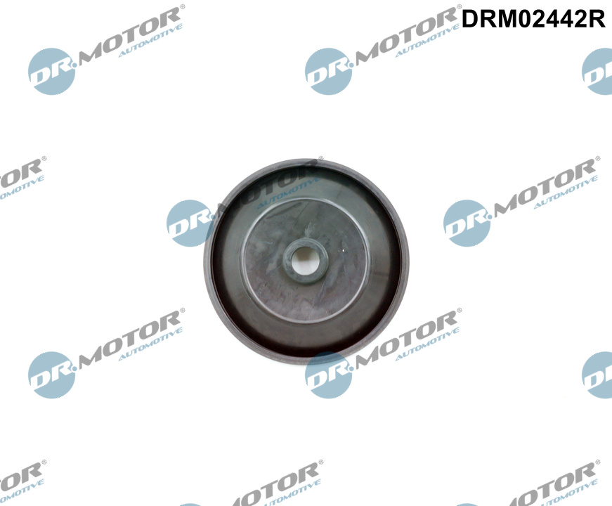 Dr.Motor Automotive Klep, luchtregeling (aanzuiglucht) DRM02442R