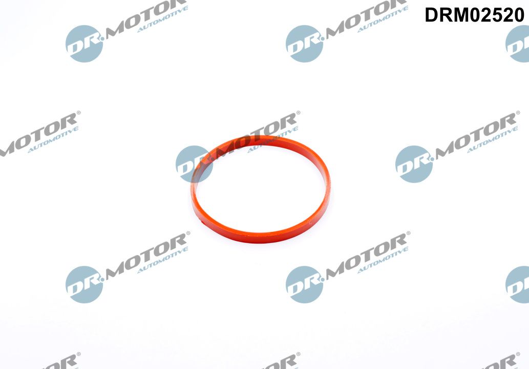 Dr.Motor Automotive Pakking, smoorklepaansluiting DRM02520