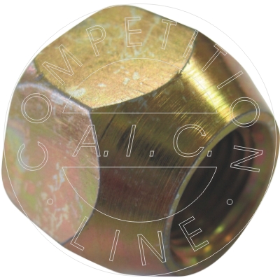 AIC Wielbout/moer 52920