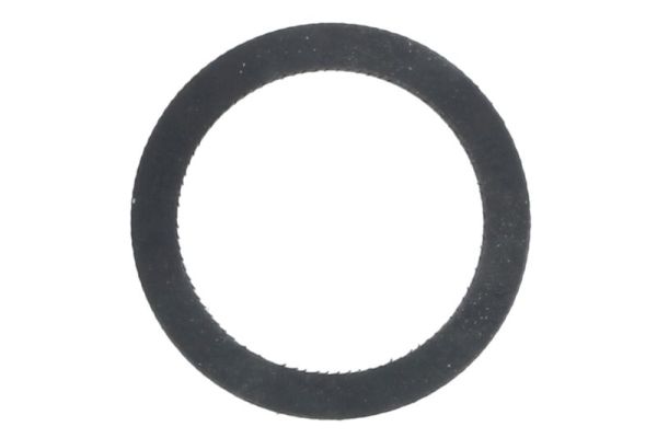 Engitech Pakking, brandstofpomp ENT020454