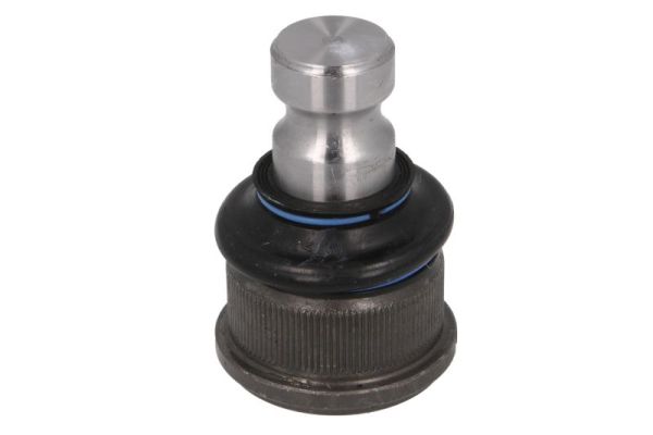 Reinhoch Fuseekogel RH03-2022