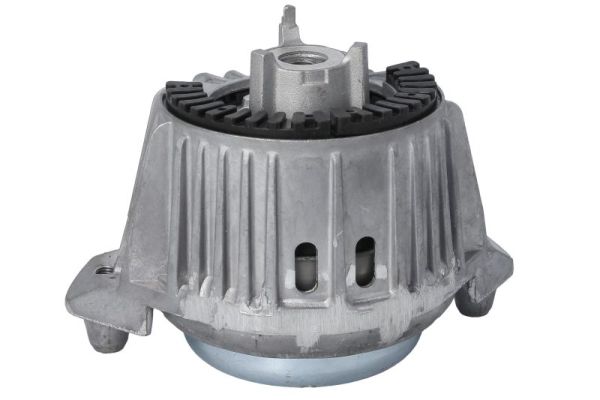Reinhoch Motorsteun RH11-3119