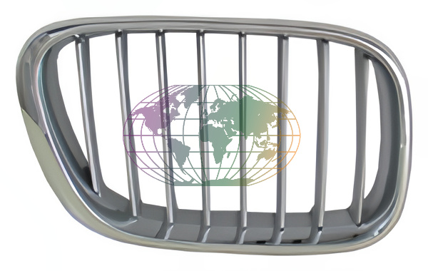 Bodermann Grille 1606353