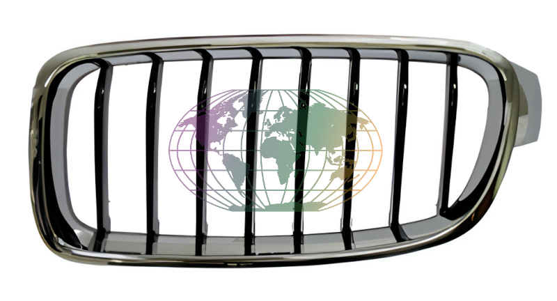 Bodermann Grille links 1645366