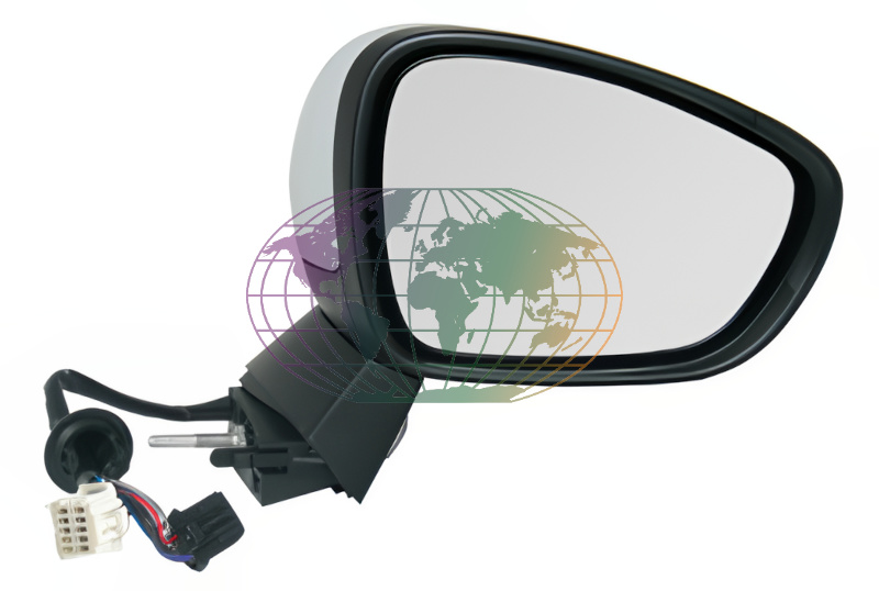 Bodermann Buitenspiegel 2019083