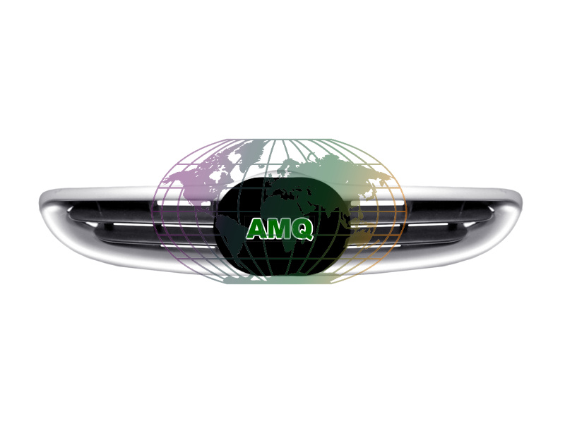 Bodermann Grille 2072360