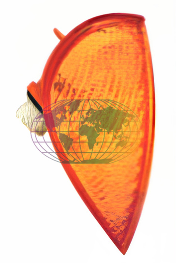Bodermann Knipperlicht 3225302