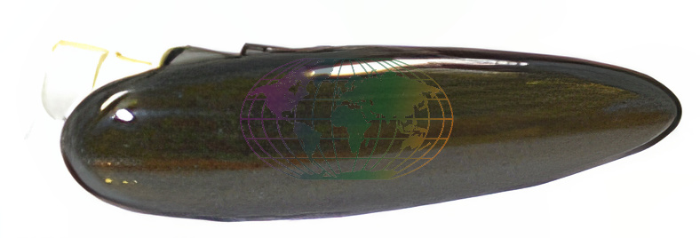 Bodermann Knipperlicht 3255300