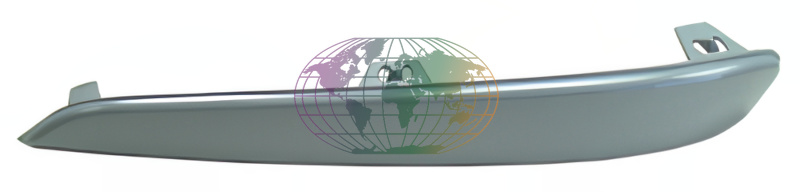 Bodermann Sier-/beschermingslijst 6420142