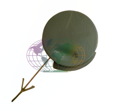 Bodermann Sleepoog afdekkap 6441139