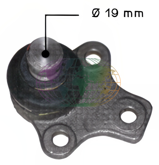 Bodermann Fuseekogel 9213060