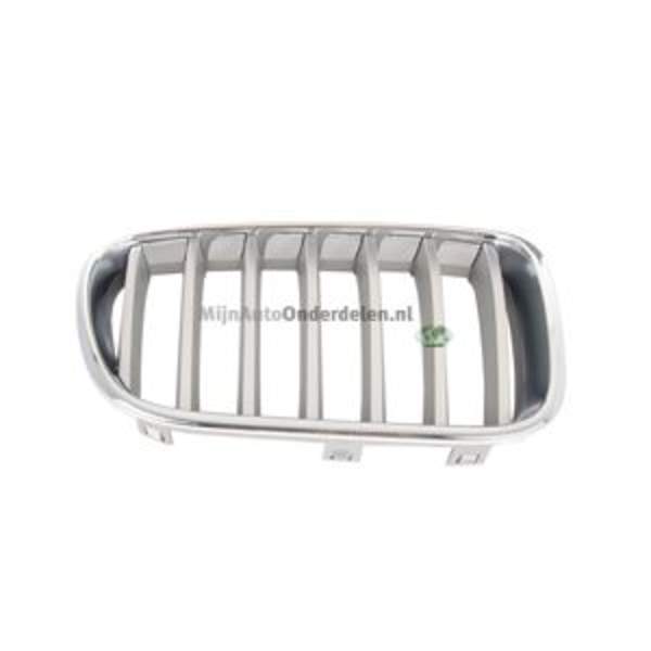 Bodermann Grille 1642354