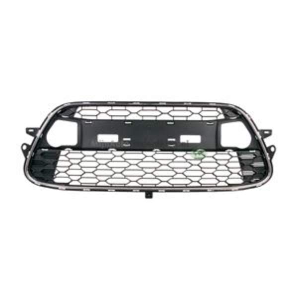 Bodermann Grille 2004370