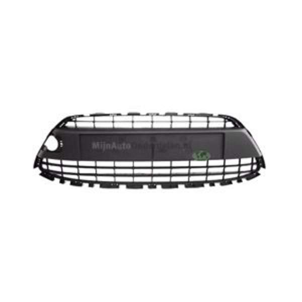 Bodermann Grille 3621370