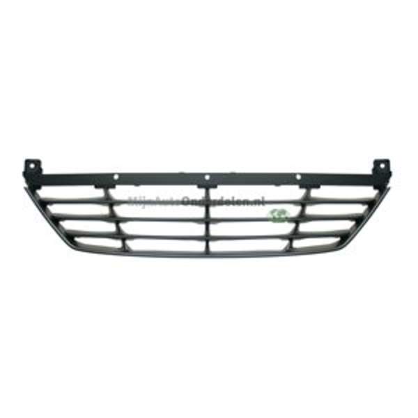 Bodermann Grille 4446360