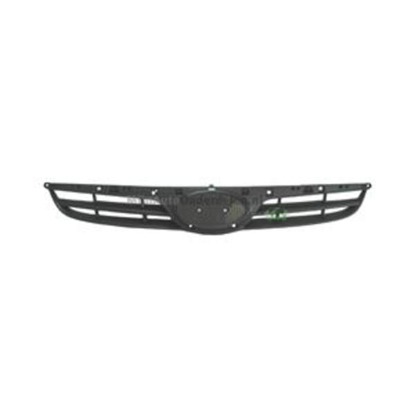 Bodermann GRILLE 4491350