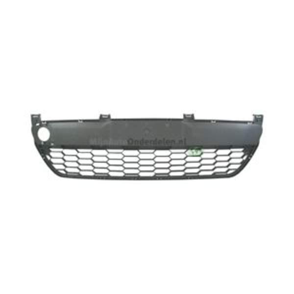 Bodermann Grille 5643370