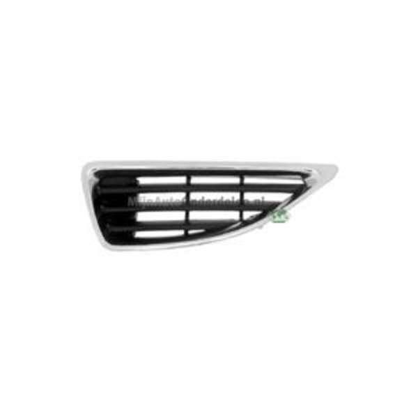 Bodermann Grille 7236351